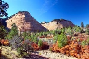 Zion National Park Tour: Self-Guided Drive