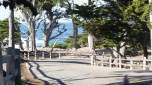17 Mile Drive California Tour: Self-Guided