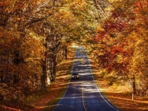 Shenandoah Tour: Self-Guided Drive