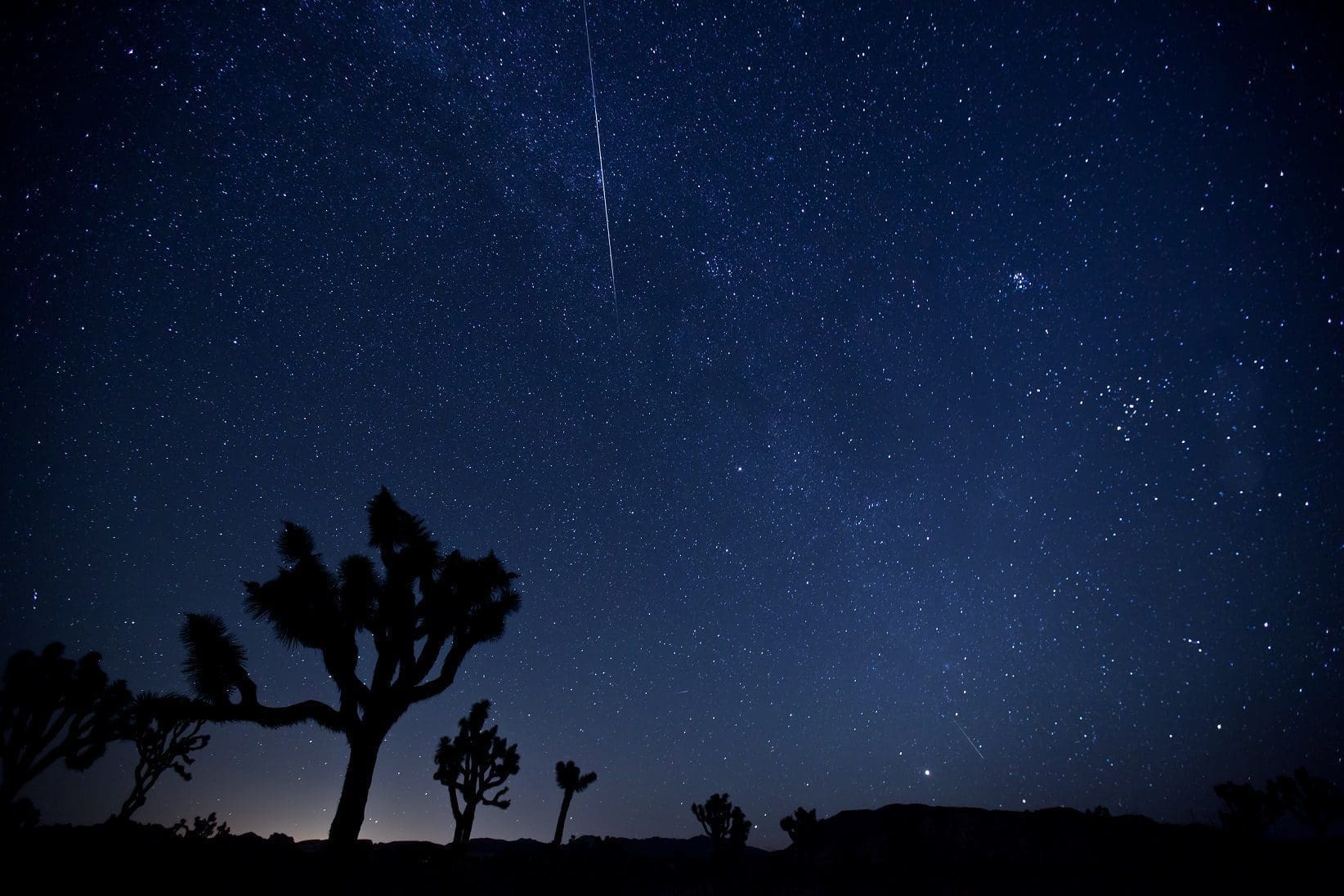 Meteor Tree Can You See the Milky Way From Joshua Tree? | Action Tour Guide