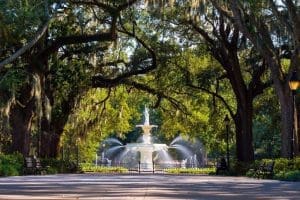 Savannah Tour: Self-Guided Walk