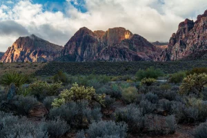 Red Rock Canyon Tour: Self-Guided Drive