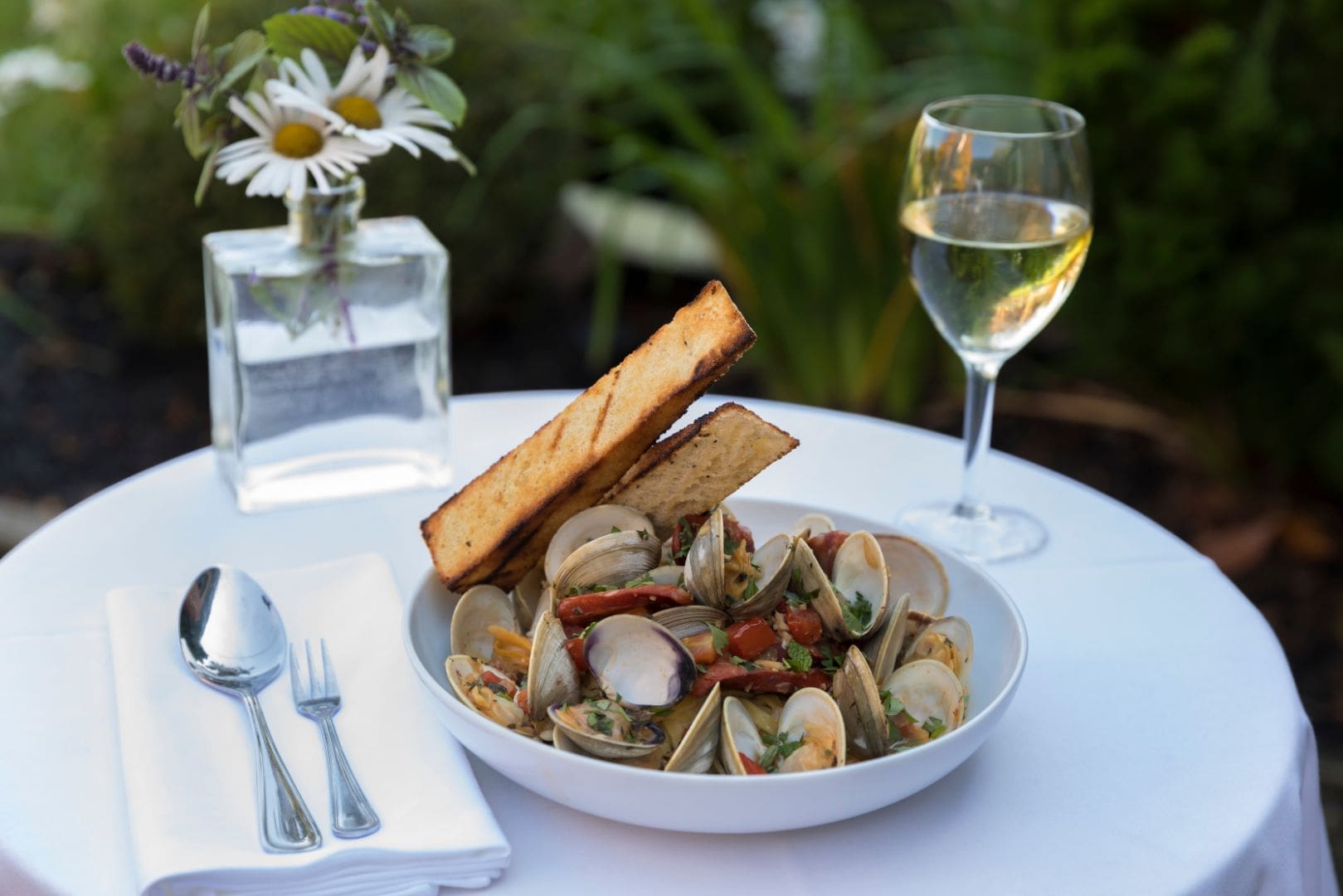 Cape Cod: 5 Reasons to Visit This Fall | Action Tour Guide