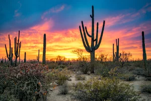 Tucson Self-Guided Driving Audio Tours Bundle