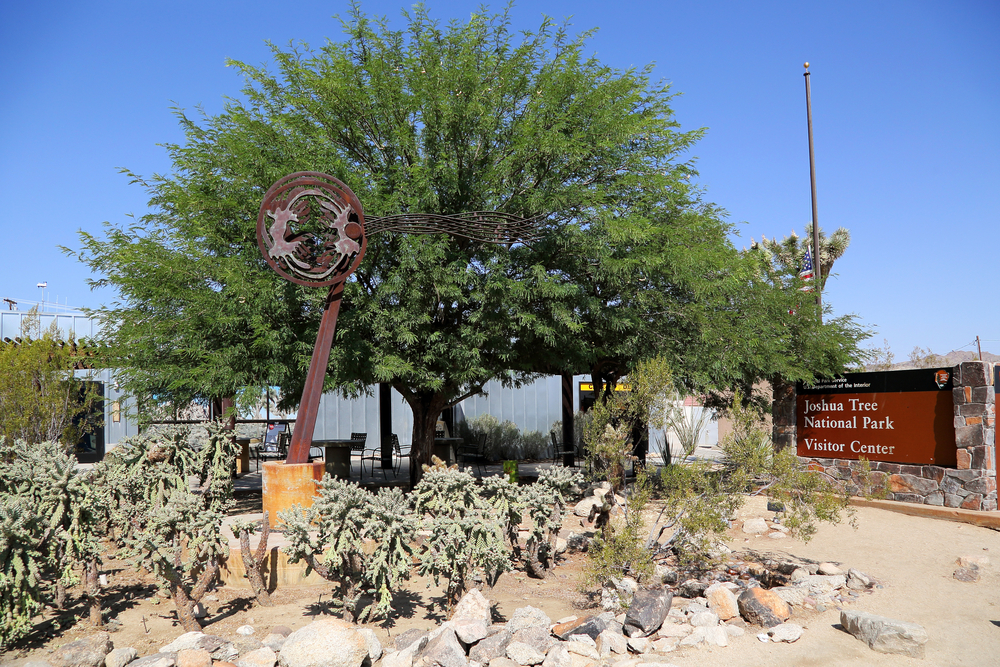 What is the most ideal entrance route for Joshua tree this season?
