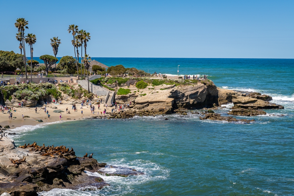 What Are the Rules at La Jolla Cove?