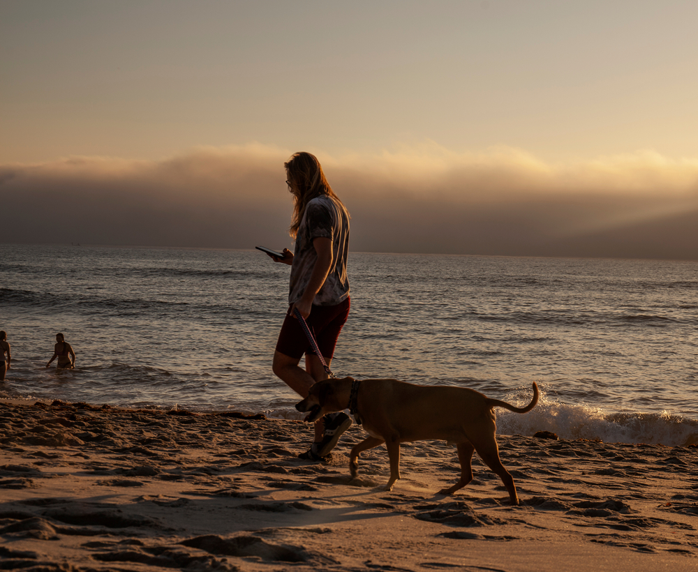 What should I do on a day trip to Cape Cod?