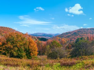 Tour Of The Catskills Scenic Byway: Self-Guided Drive