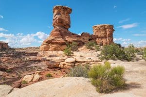 Canyonlands Needles District Tour: Self-Guided Drive