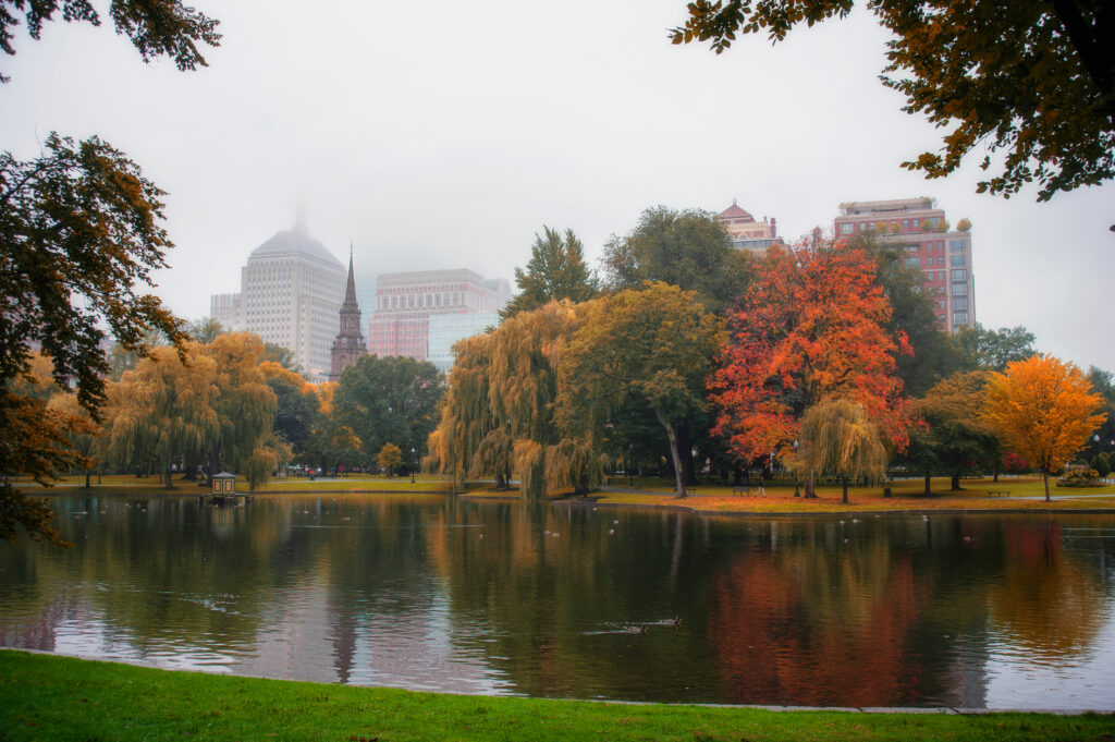 Foliage,At,Boston,Common,Public,Park,,Fall,Foggy,Day,In