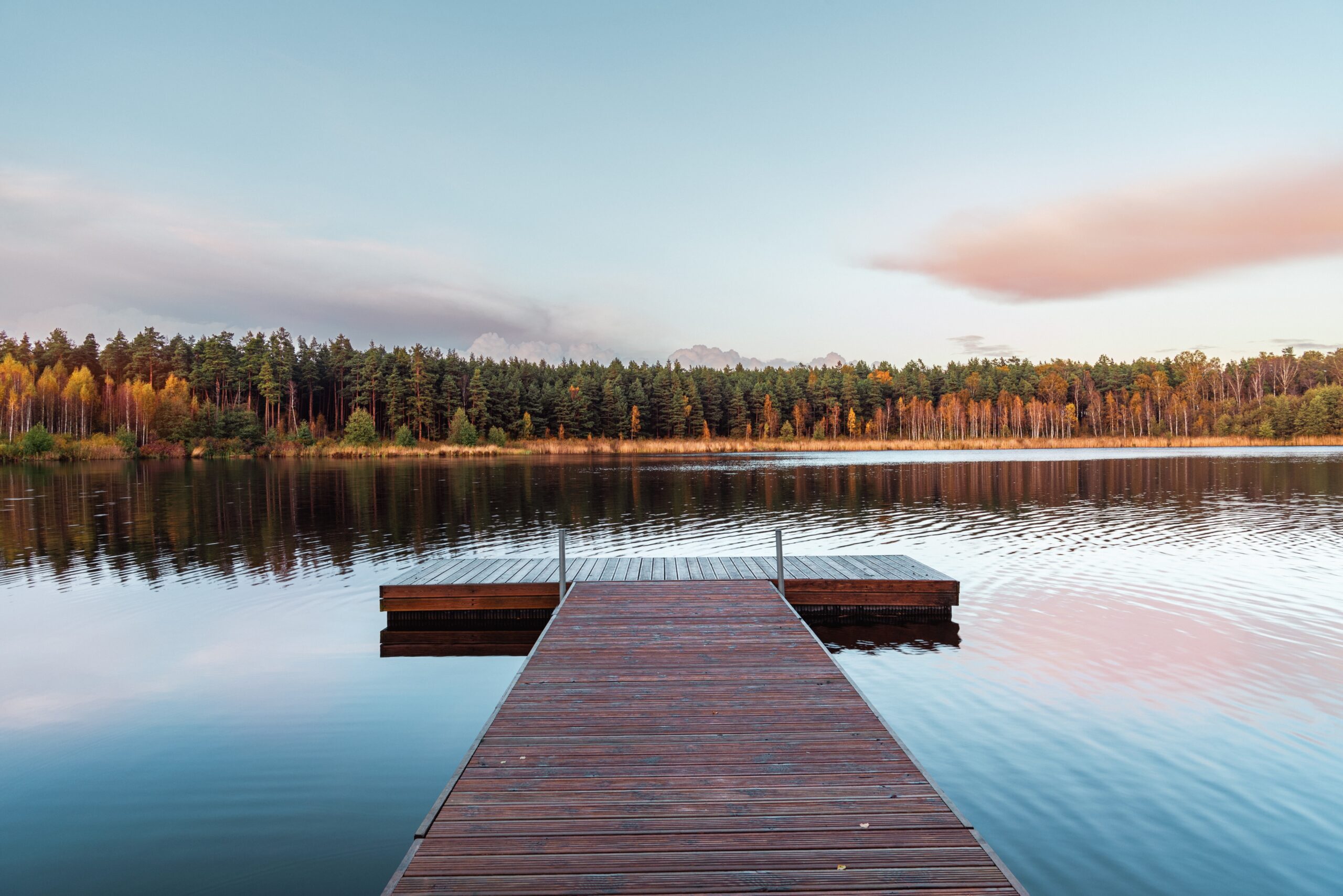 Custer State Park Tour: Self-Guided Drive