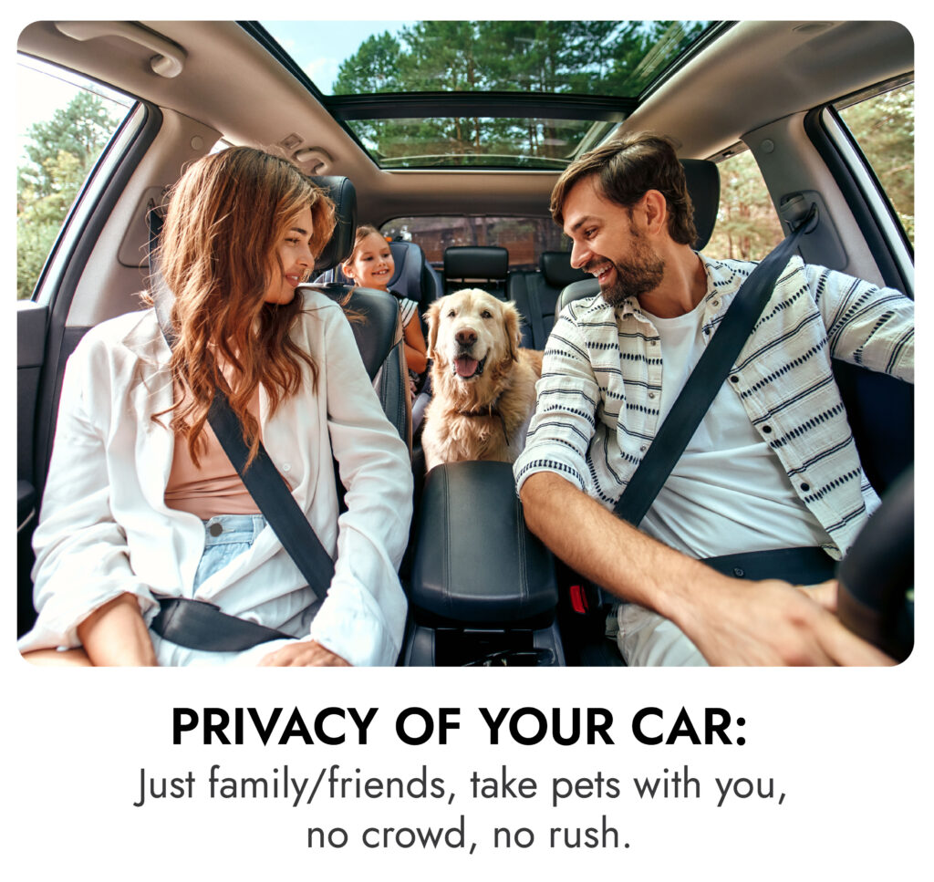 Home 8 privacy of your car