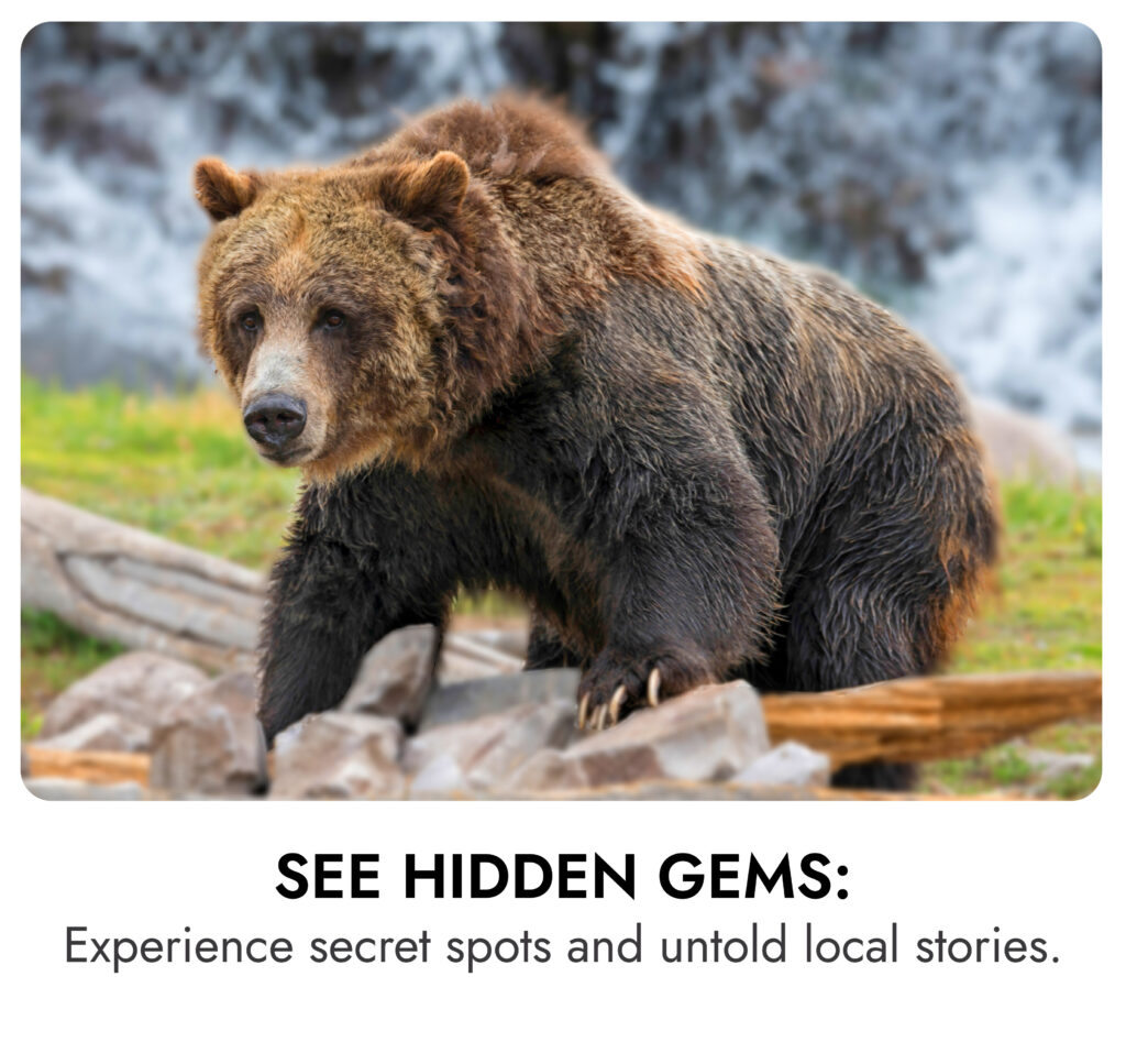 see hidden gems