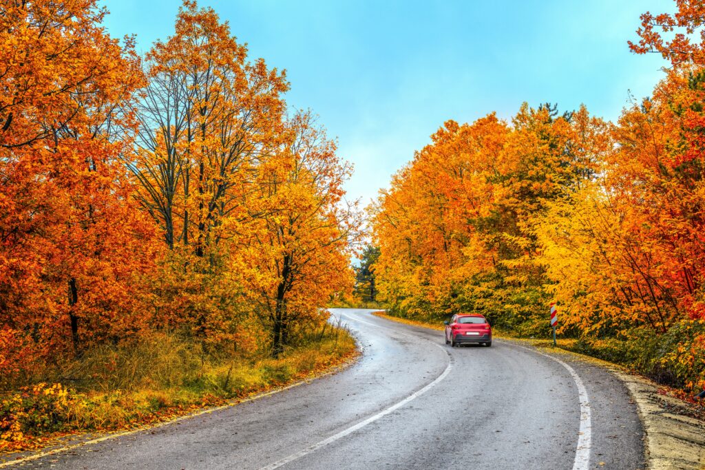 Car,Drive,On,Autumn,Road,In,Beautiful,Nature.,Autumn,Colors