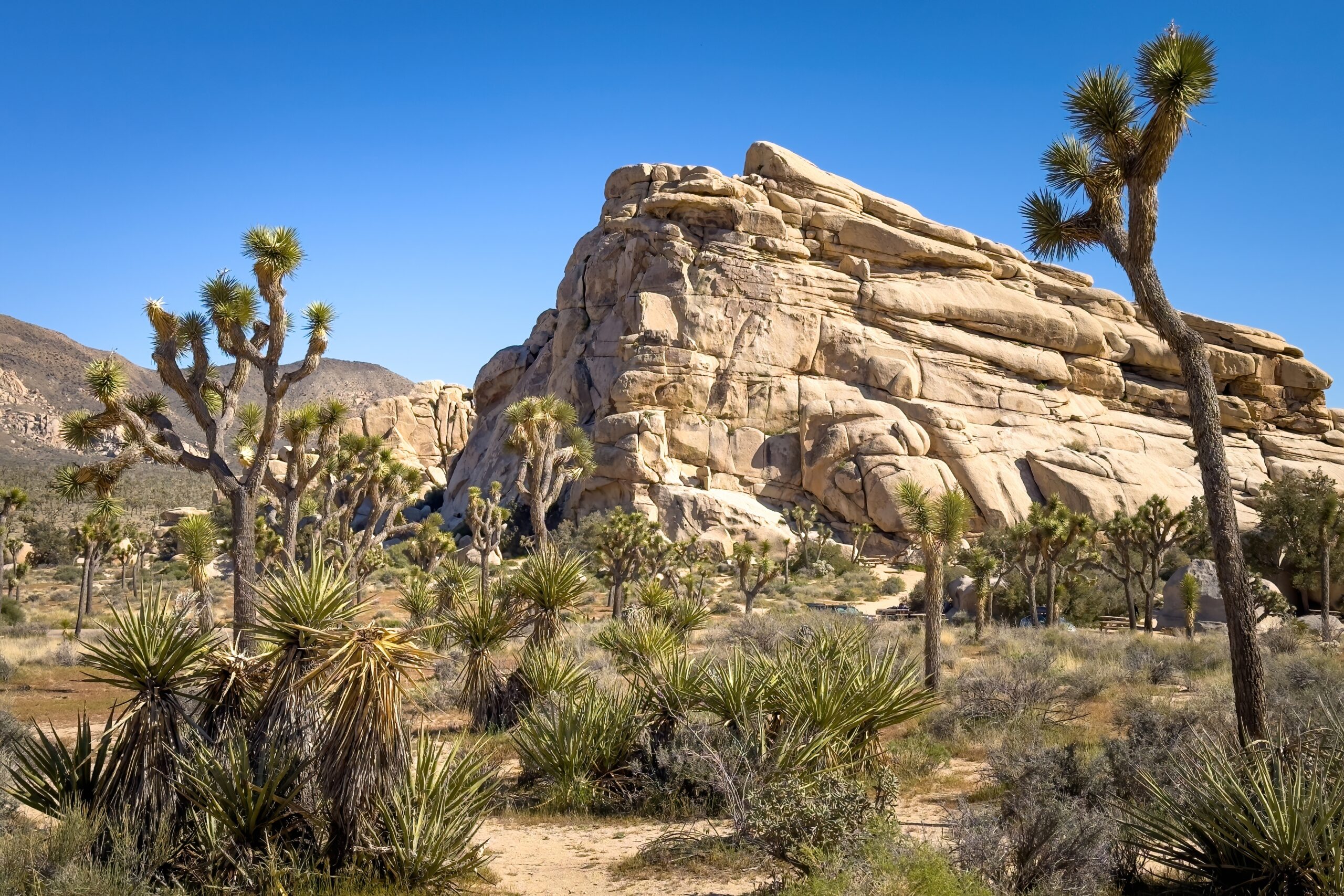 What’s worth seeing in La Jolla?