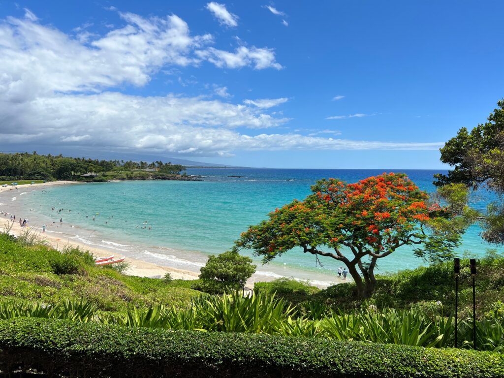 shutterstock 2504105017