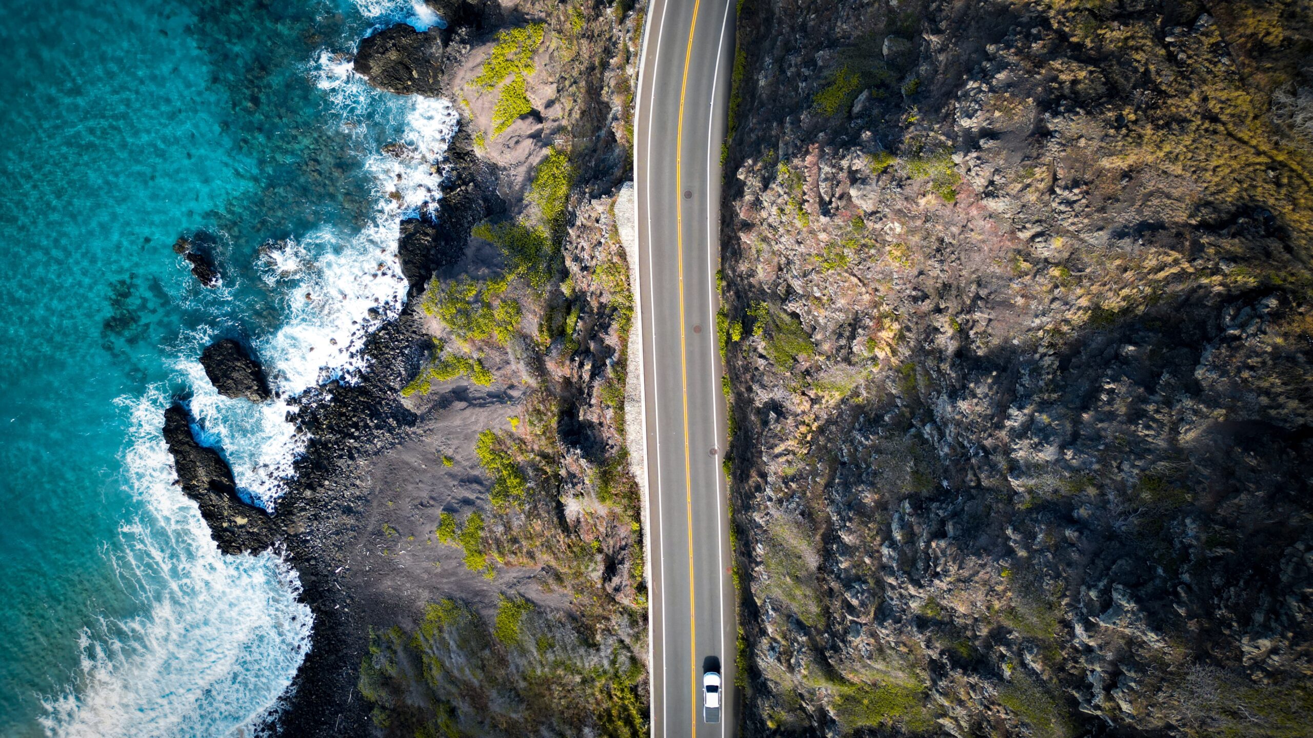 Why Is St. Louis So Famous? A City of History, Culture & Innovation