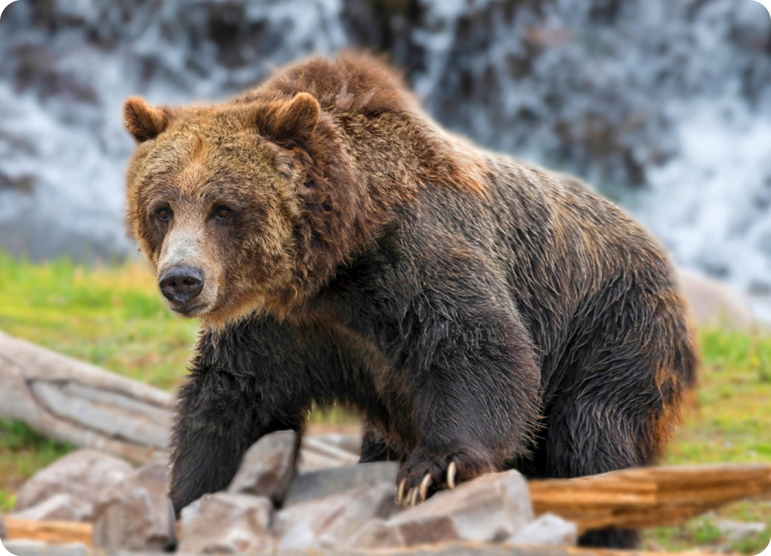 action tour guide features 1