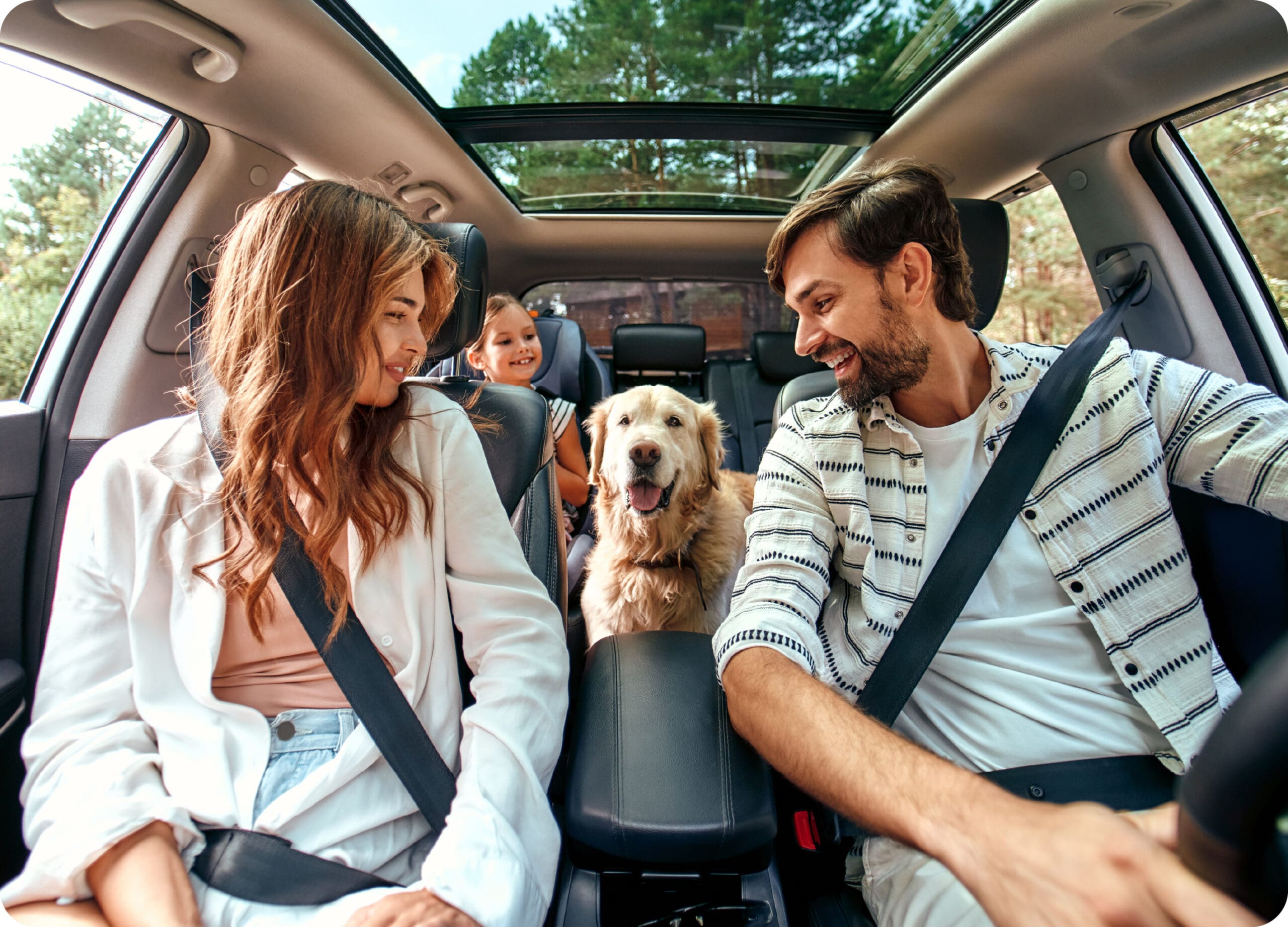 action tour guide features 5