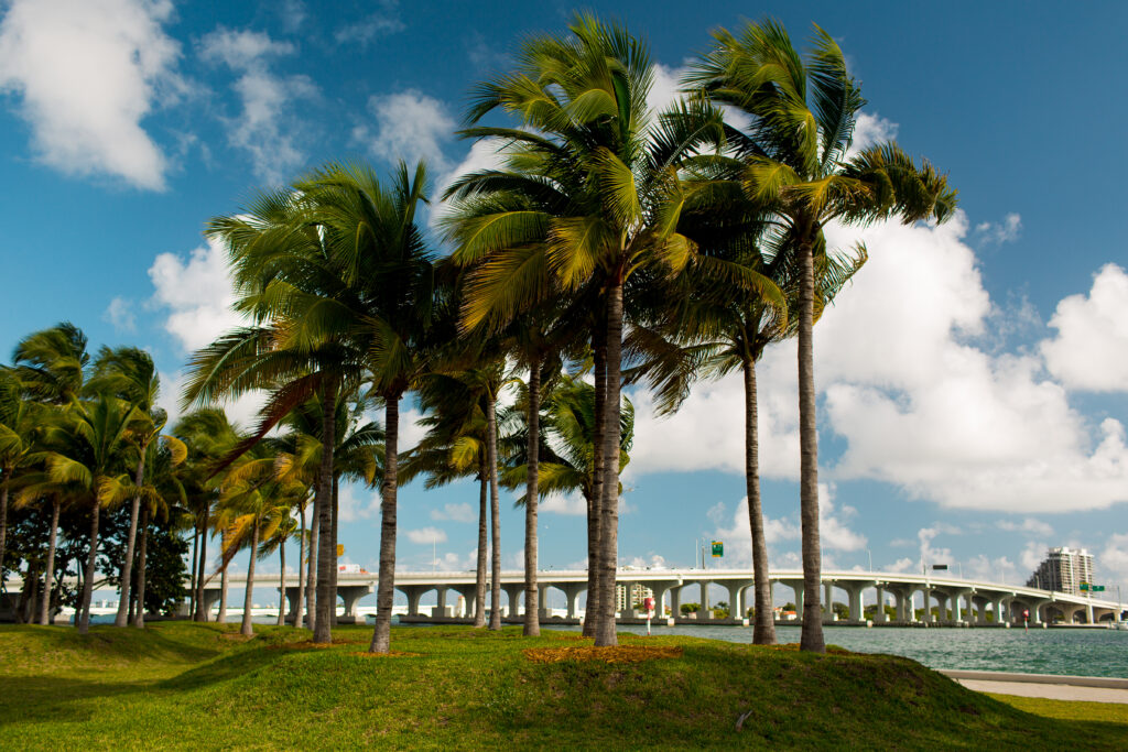 Best Family-Friendly Football World Championship Experiences in Miami Using Self-Guided Audio Tours 1 Bayfront Park