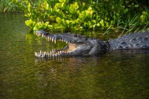 US East National Parks Audio Tour