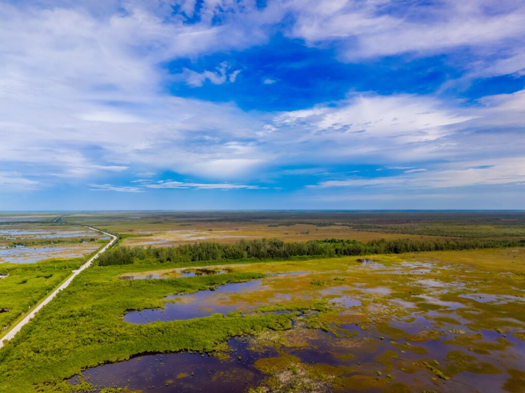 Best Time to Visit Big Cypress National Preserve: Dry Season vs Rainy Season Guide 1 Big Cypress National Preserve