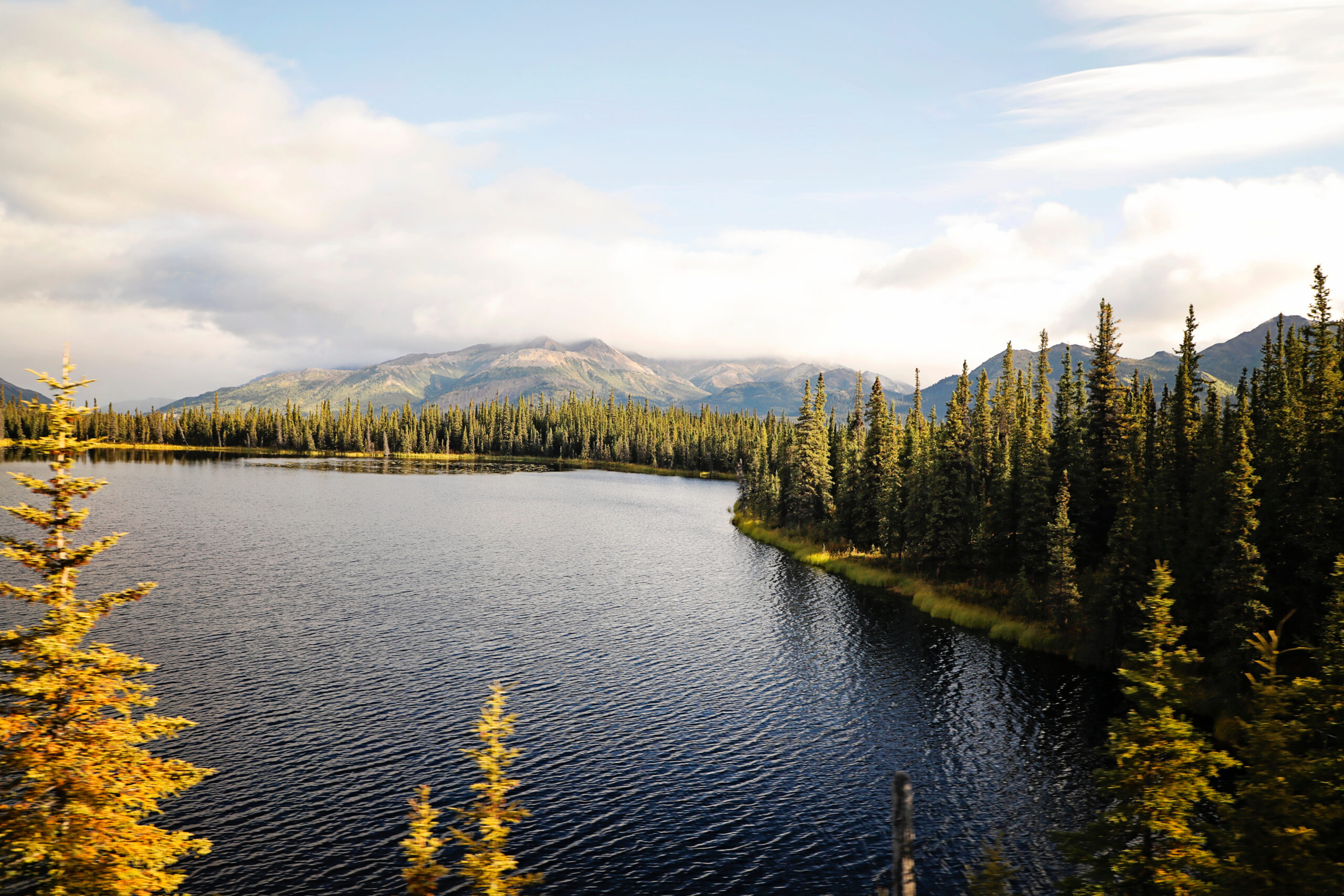 Anchorage to Denali: Self-Guided Driving Audio Tour