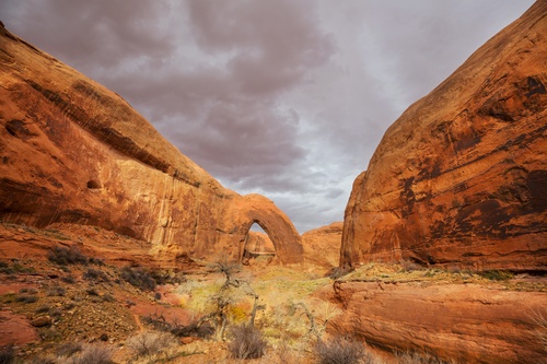 Best Self-Guided Freedom Trail Tour Apps Compared: Which One Should You Choose?