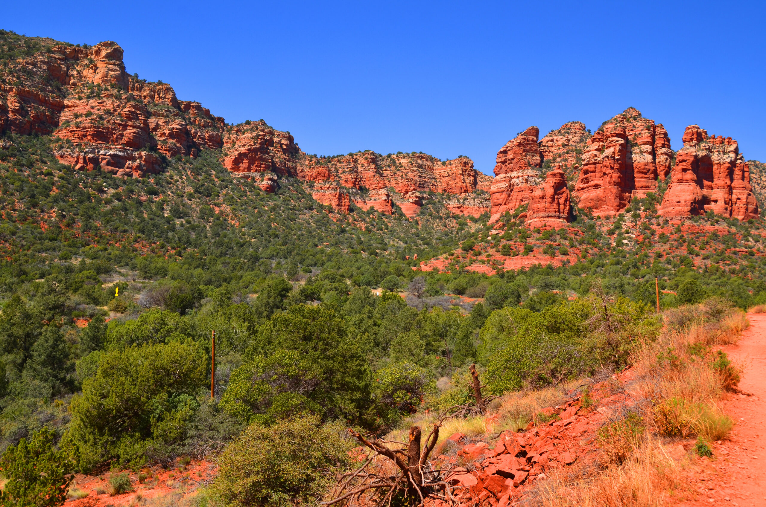 Should I Visit Saguaro East or Saguaro West?