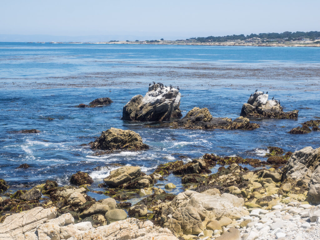 Point Joe on the famous 17 mile drive