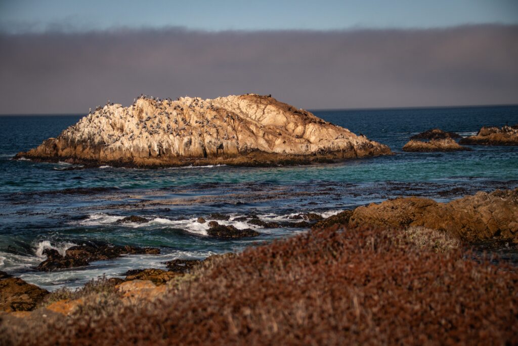 Bird Rock 17 Mile Drive