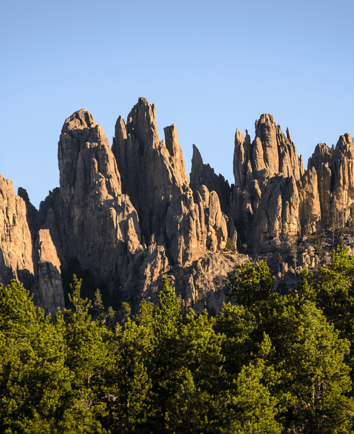 Black Hills & Custer State Park Tours Bundle